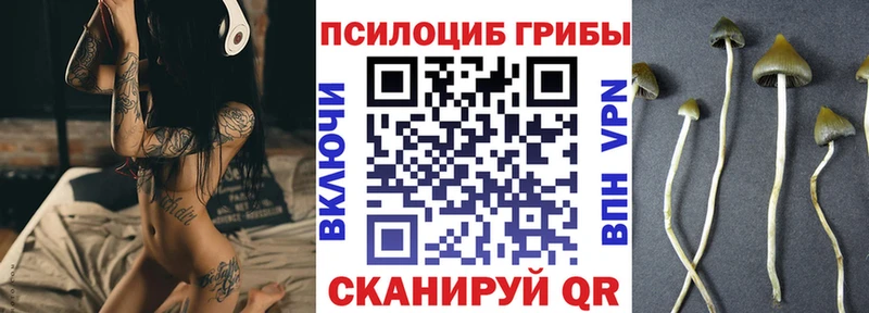 Псилоцибиновые грибы прущие грибы  Купить где  Тында 
